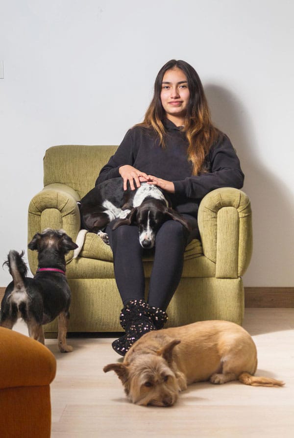 Pet-sitter garde de plusieurs chiens noirs