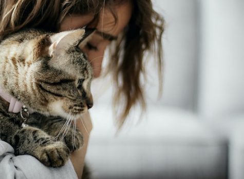 un-chat-avec-une-femme