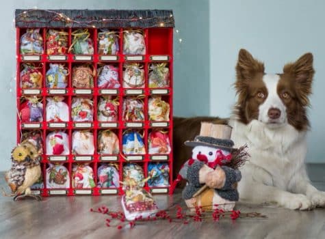 calendrier de l'avent chien