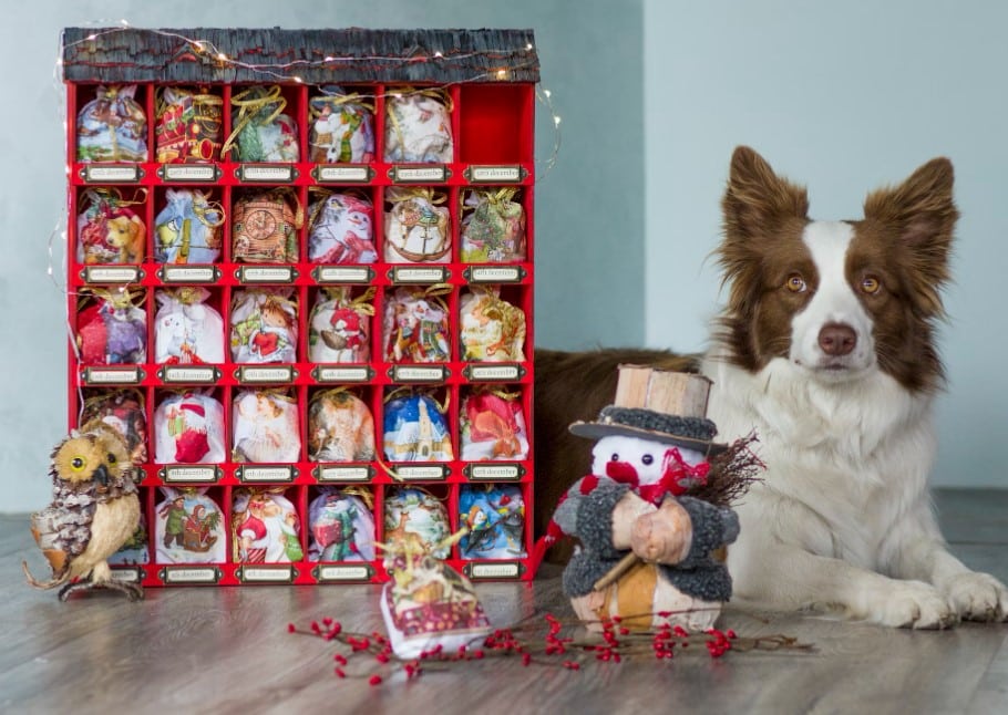 Calendrier de l'avent pour chien
