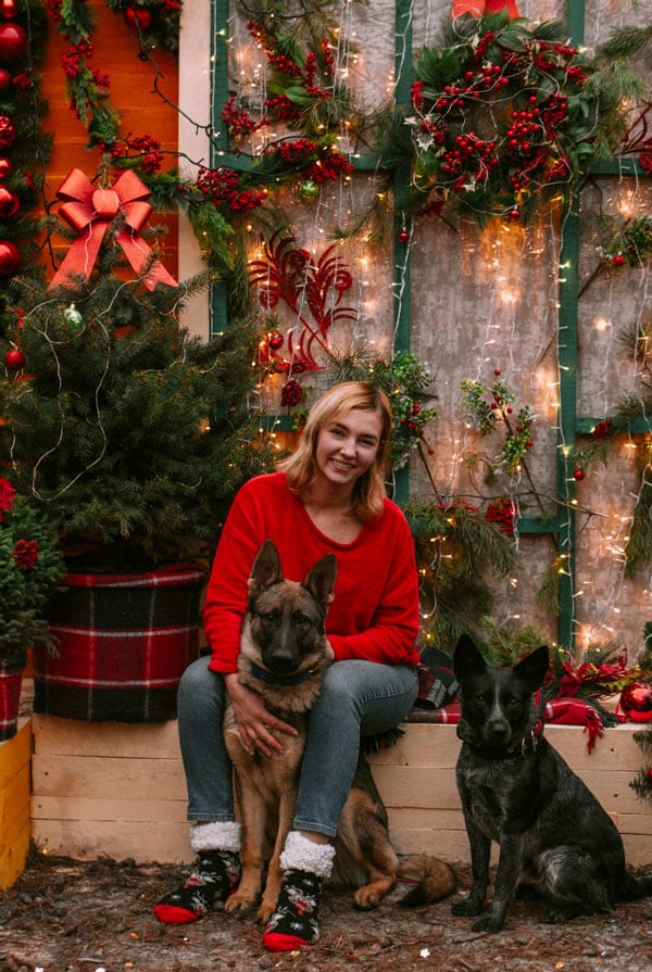 Chien intégré aux marchés de noel
