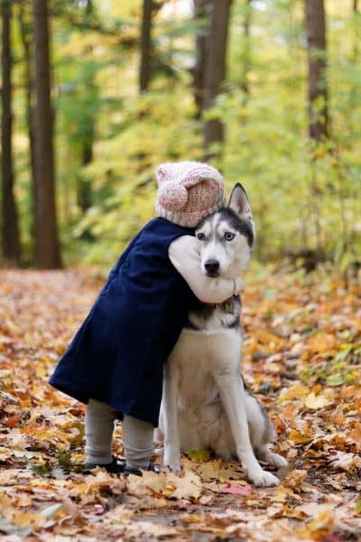 un-enfant-fait-un-calin-a-un-chien-Husky