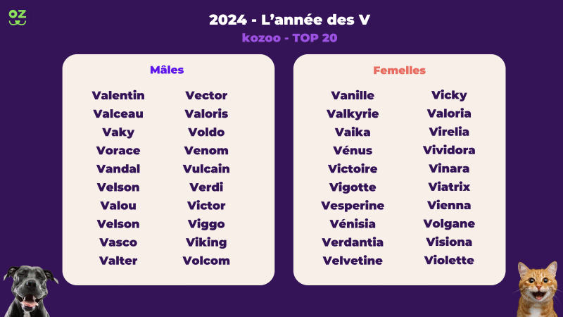 lettre chat 2024 male
