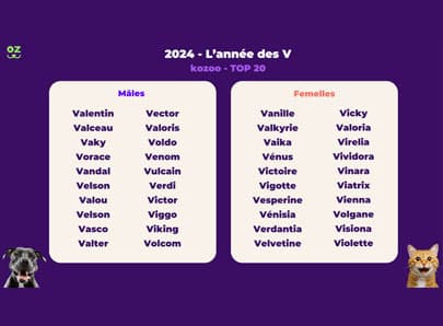 Nom en V pour l'année 2024