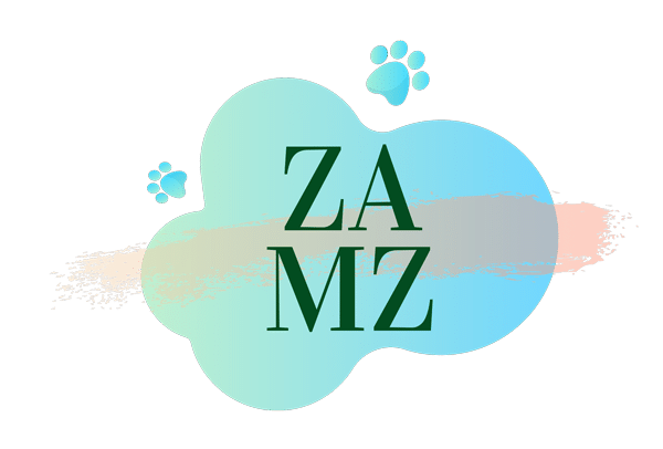 ZamZ