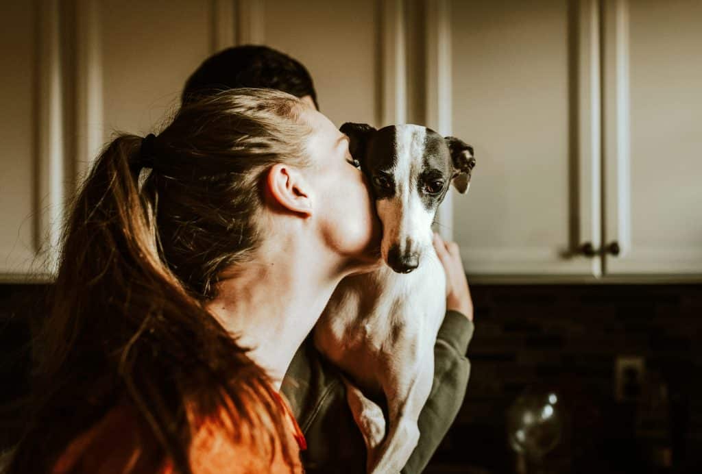 Femme qui aime son chien et le prend dans ses bras pour lui faire un câlin 