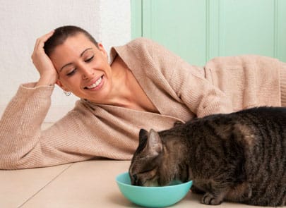 Chat qui mange vite, boulimie