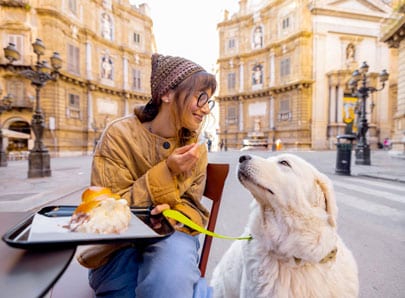 chien villes dog friendly