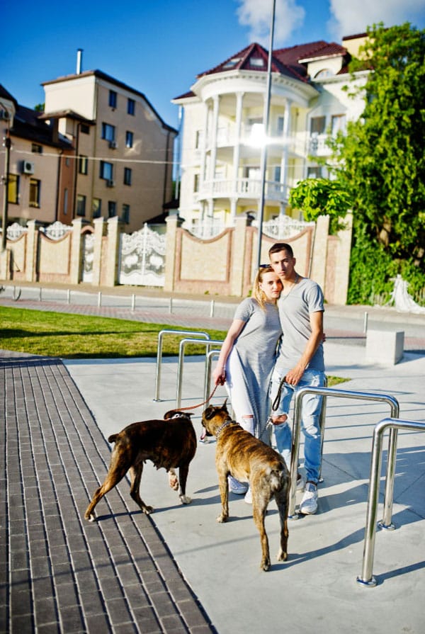 Meilleures villes pour vivre avec un chien