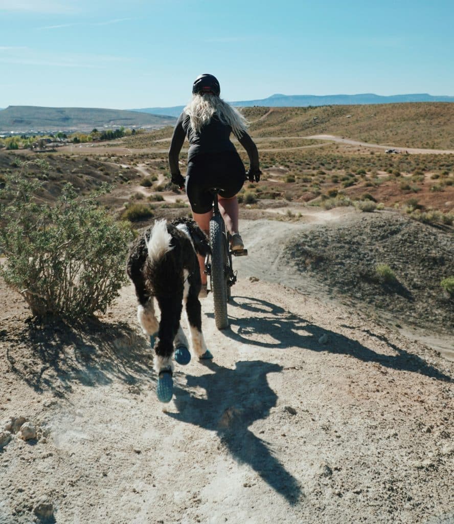 Balade à vélo avec un chien sur un sentier 