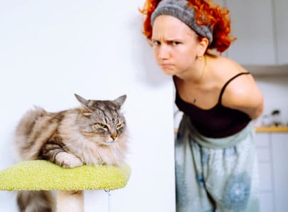Chat les choses mauvaises à ne pas faire