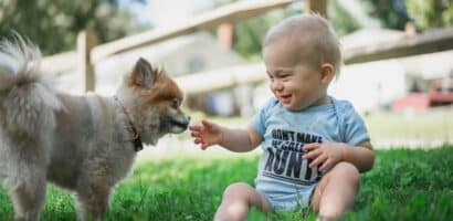Animal de compagnie qui apporte du bonheur à un enfant