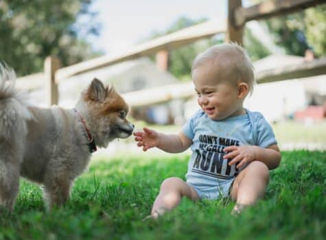 Animal de compagnie qui apporte du bonheur à un enfant