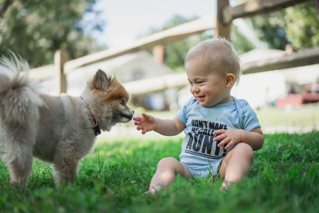 Animal de compagnie qui apporte du bonheur à un enfant.