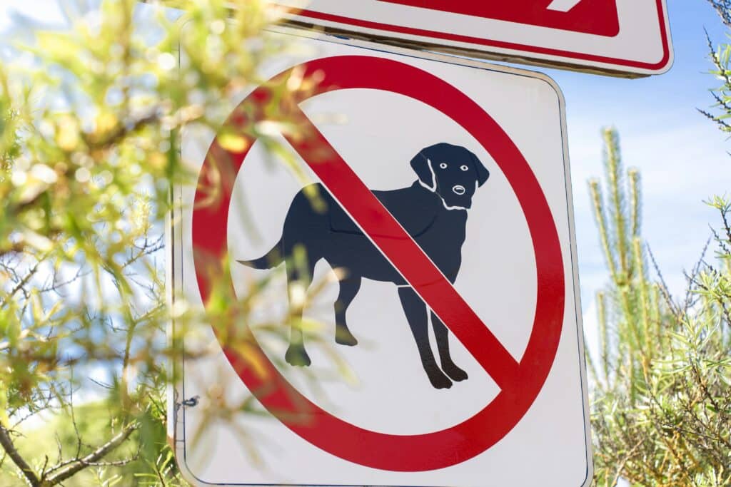 Panneau interdiction aux chiens 
