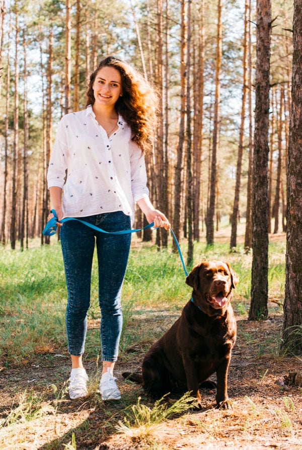 Chien avec une laisse même dans la nature pour la protéger