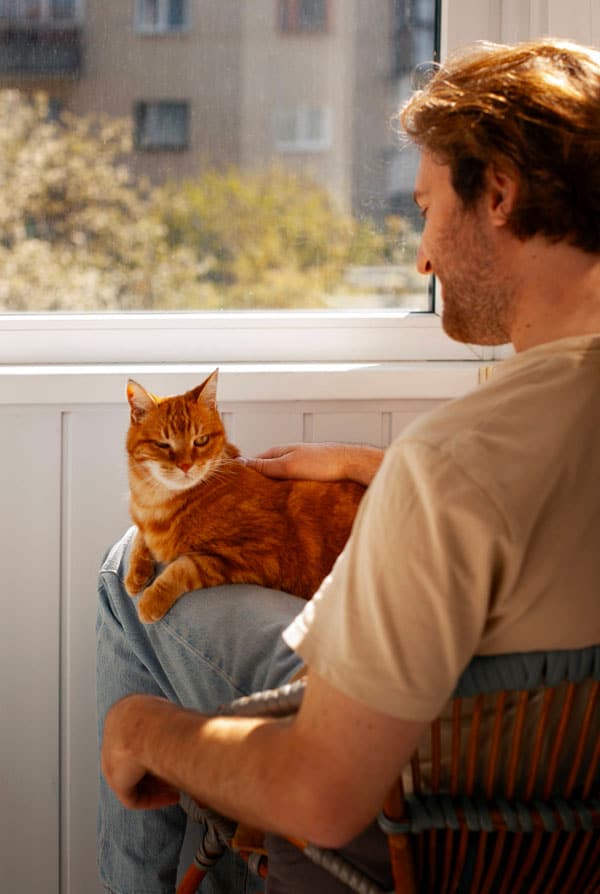 Observer son chat après la sortie dans le jardin
