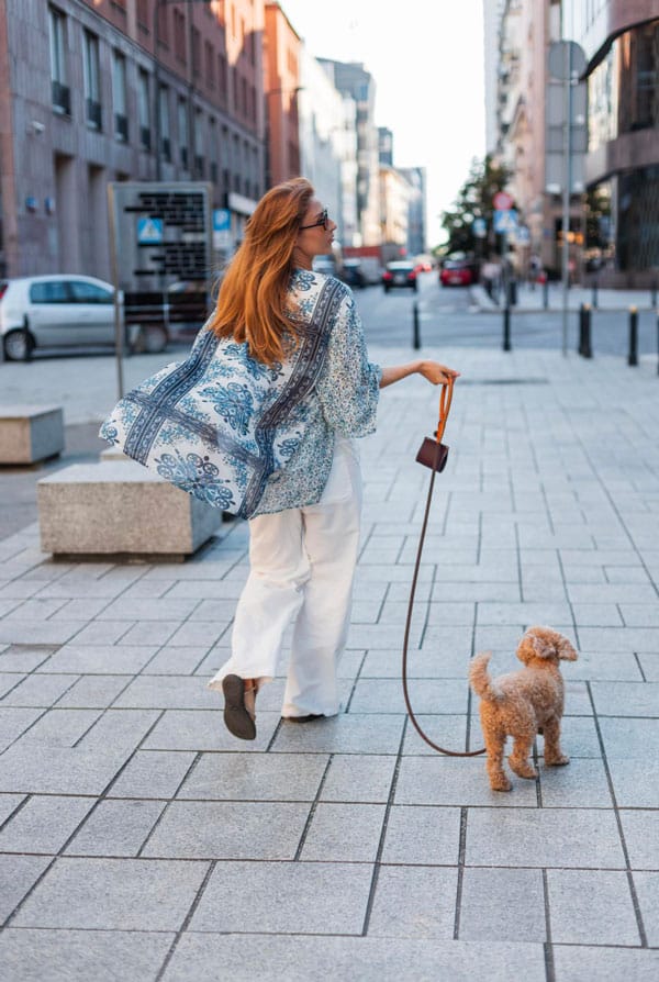 Promenade chien pour pas le laisser seul dans la voiture