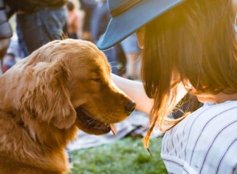 Un-chien-avec-son-humain