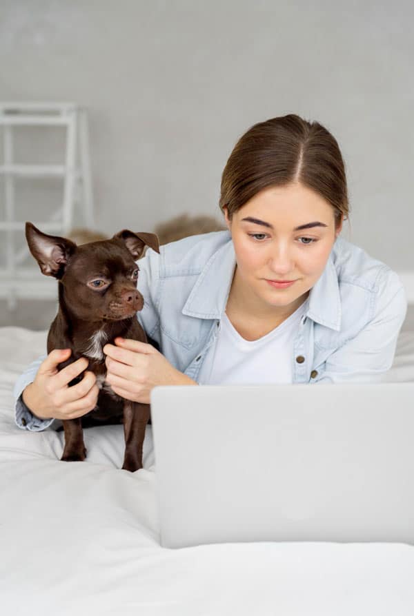 Chien en téléconsultation vétérinaire