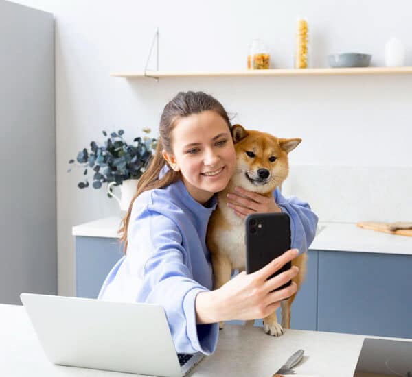 Chien avec son propriétaire en téléconsultation vétérinaire