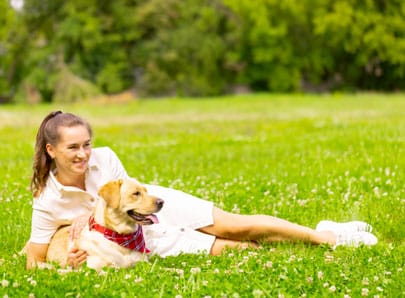 Chien sur la pelouse