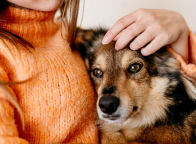 Chien faisant un câlin à sa propriétaire