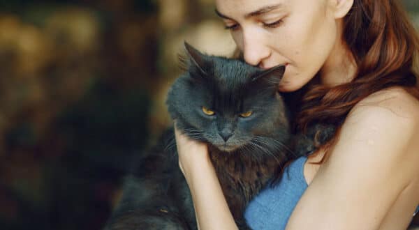 Chat en extérieur avec son propriétaire