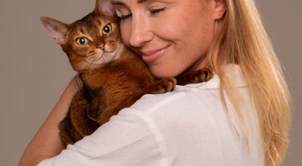 Chat de race avec sa propriétaire