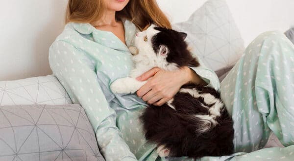 Chat sur ordinateur qui compare les assurances