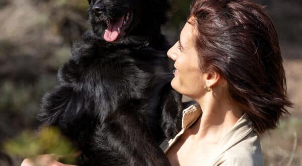 Chien type Berger assuré chez kozoo