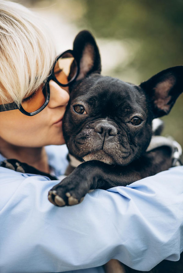 Origine du Bouledogue Français