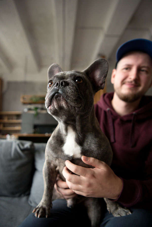 Cout d'entretien d'un Bouledogue Français