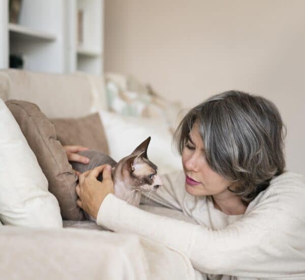 Chat qui est malade suite à l'ingestion d'un petit jouet