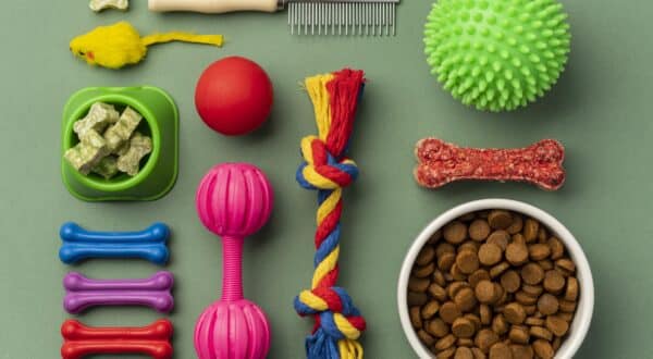 Jouets de bonne qualité pour chien