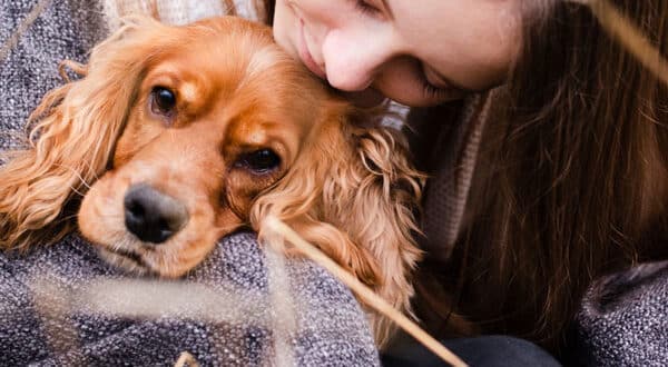 Chien avec une sinusite