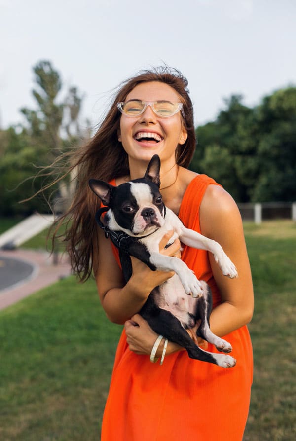 Souscrire assurance Boston Terrier