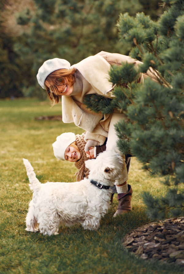 Accueillir un chiot Westie