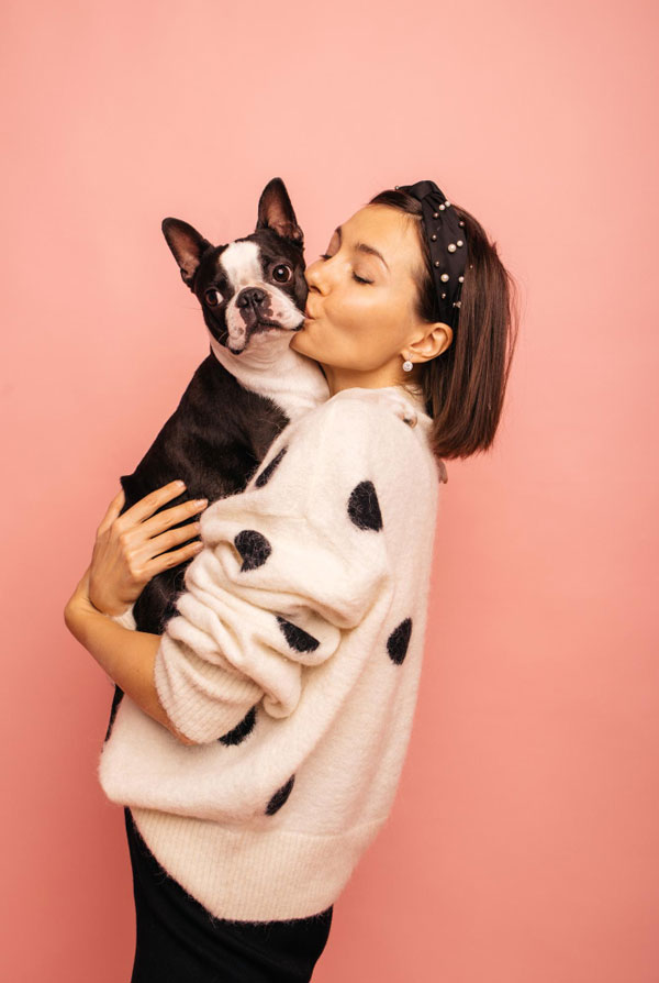 Prix d'achat Boston Terrier