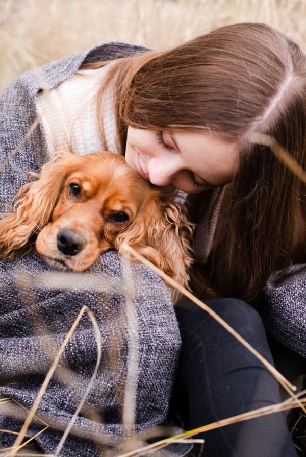 Chien avec une sinusite