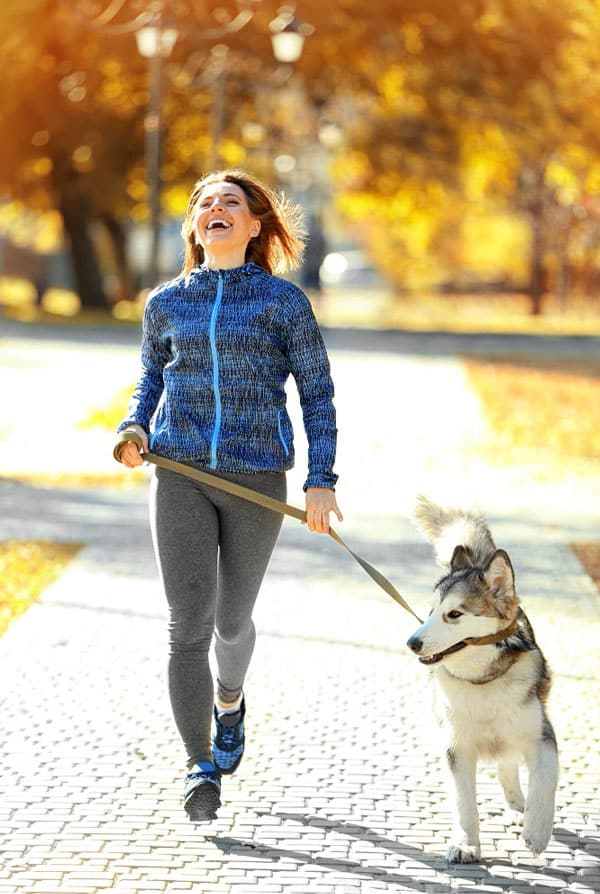 Chien qui fait du canicross en été