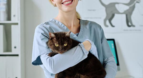 Chat ayant le coryza chez le vétérinaire