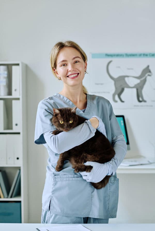 Chat ayant le coryza chez le vétérinaire