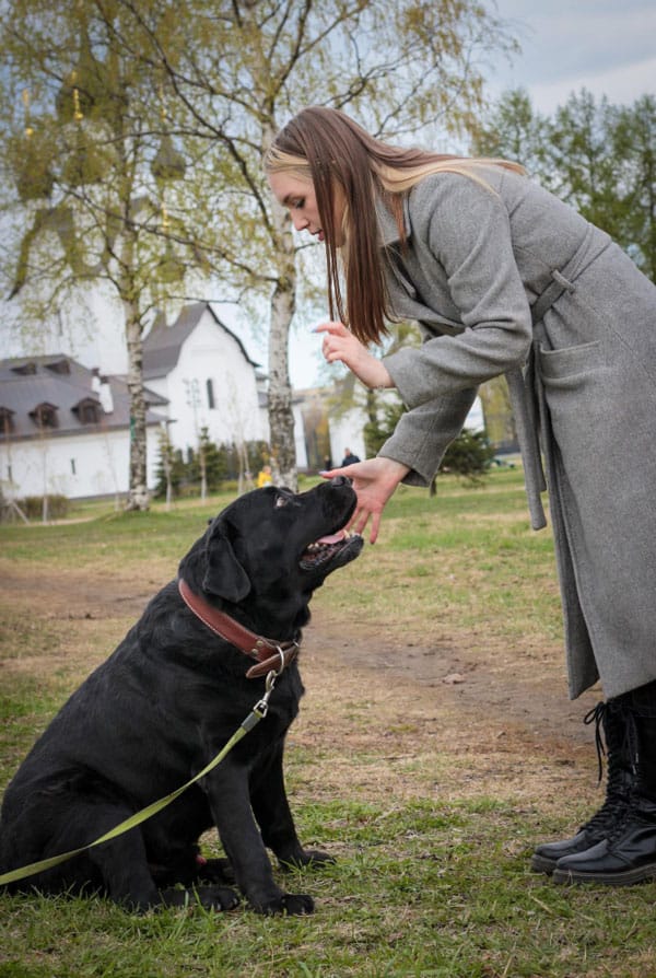 Chien avec son dog sitter