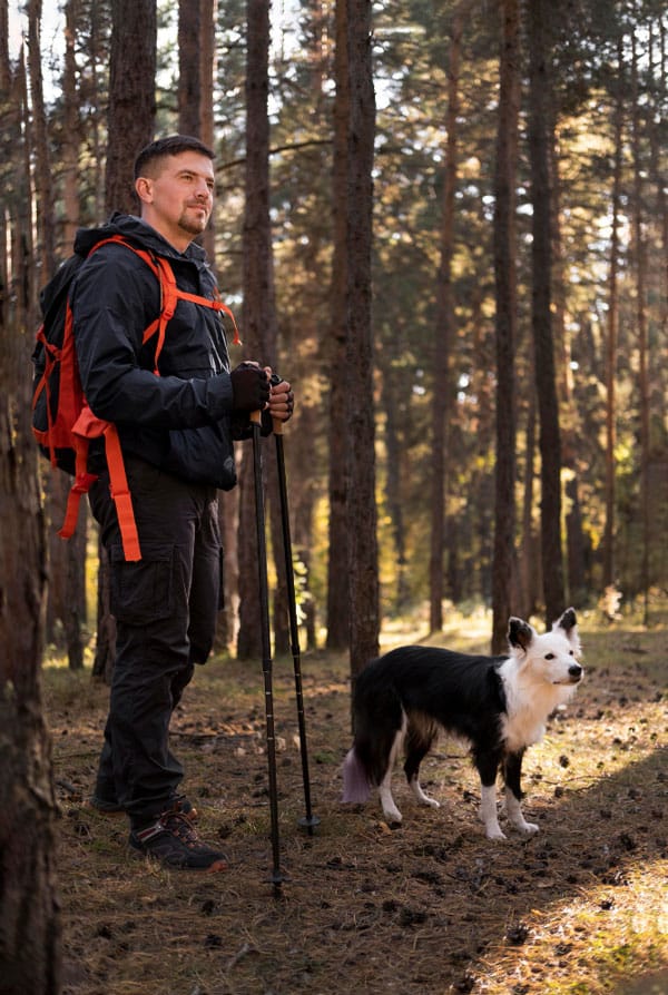 Chien en randonnée en pleine nature avec son propriétaire