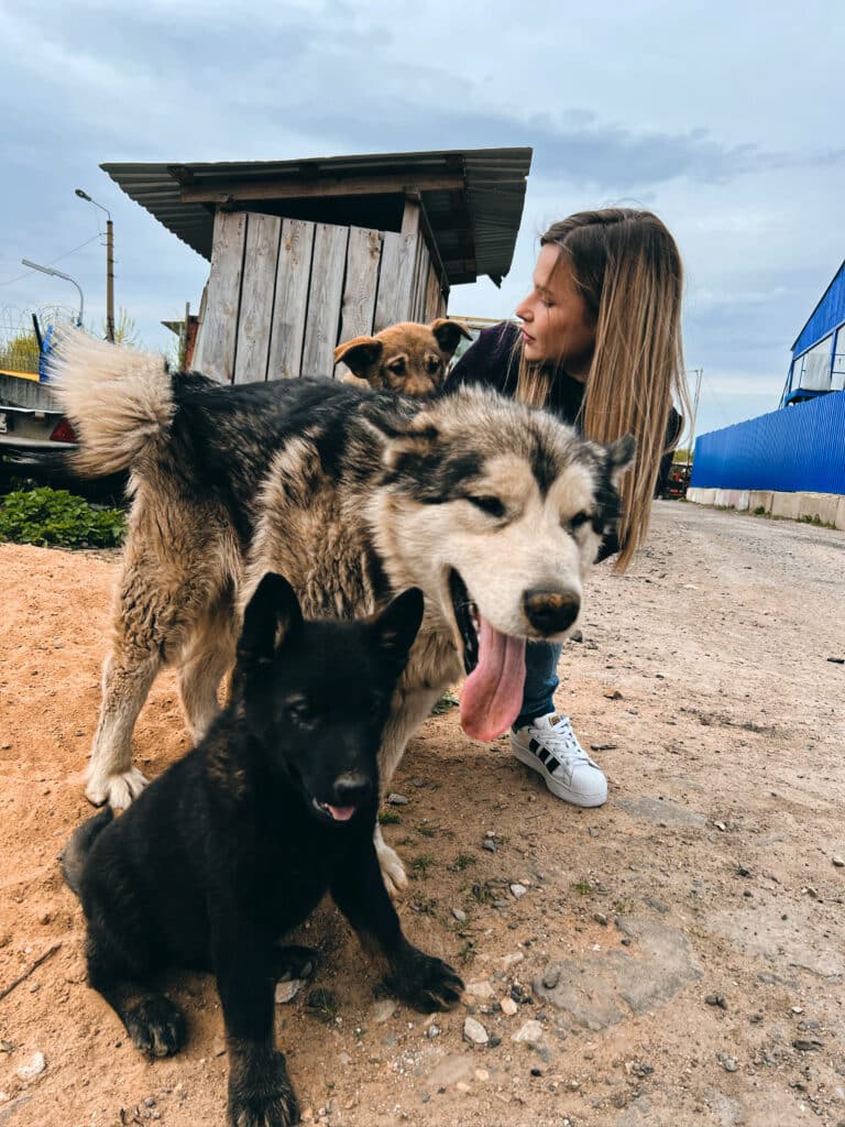 Educatrice canine en extérieur avec des chiens