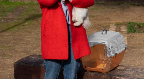 Chien qui a retrouvé son propriétaire