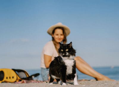 Chat à la plage avec son propriétaire