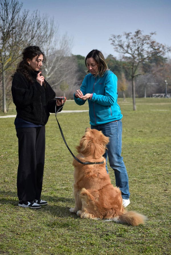 Chien et son propriétaire avec un éducateur
