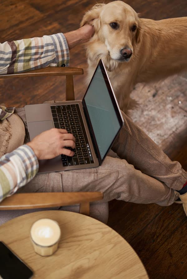 Chien avec propriétaire devant l'ordinateur